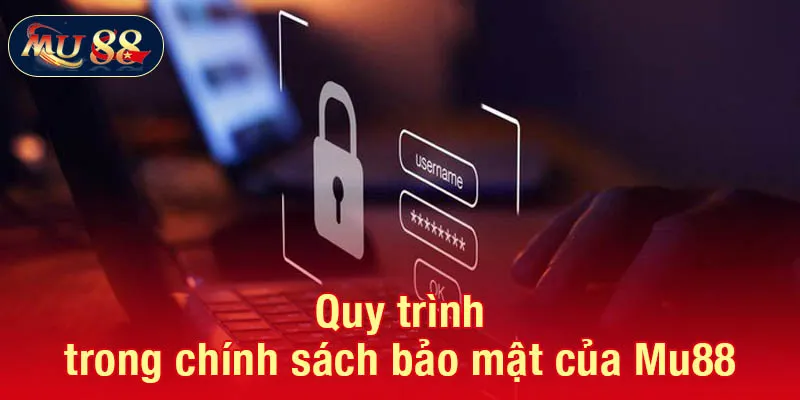 Quy trình trong chính sách bảo mật của Mu88